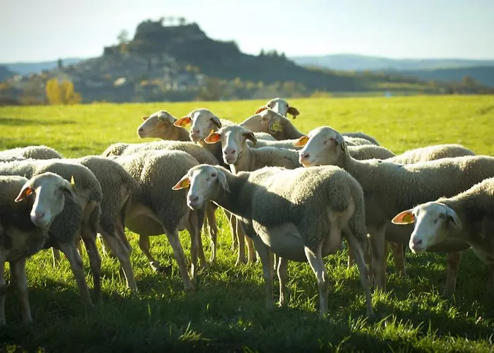 De La Gare Sévérac-le-Château